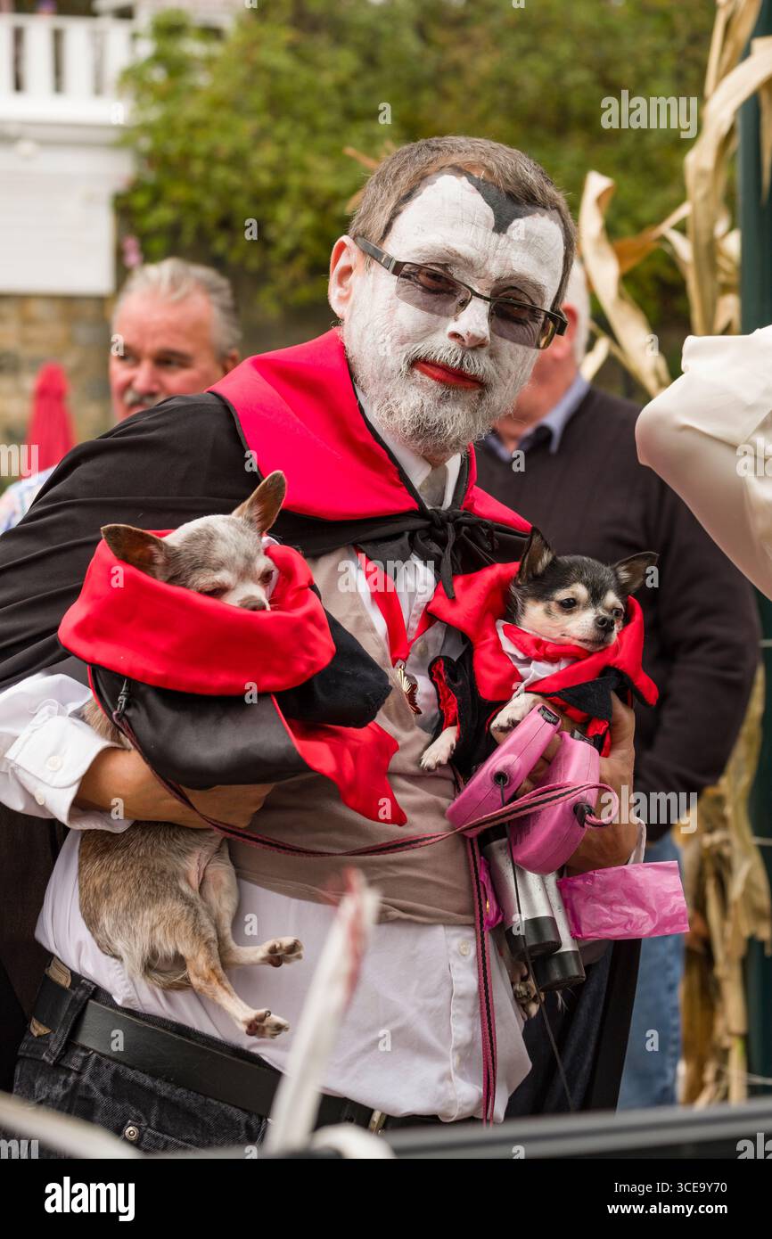 Uomo vestito in costume di Dracula tenendo due chihuahua cani dopo la OgunquitFest sfilata in costume, Main Street, Ogunquit, York County, Maine, Stati Uniti d'America Foto Stock