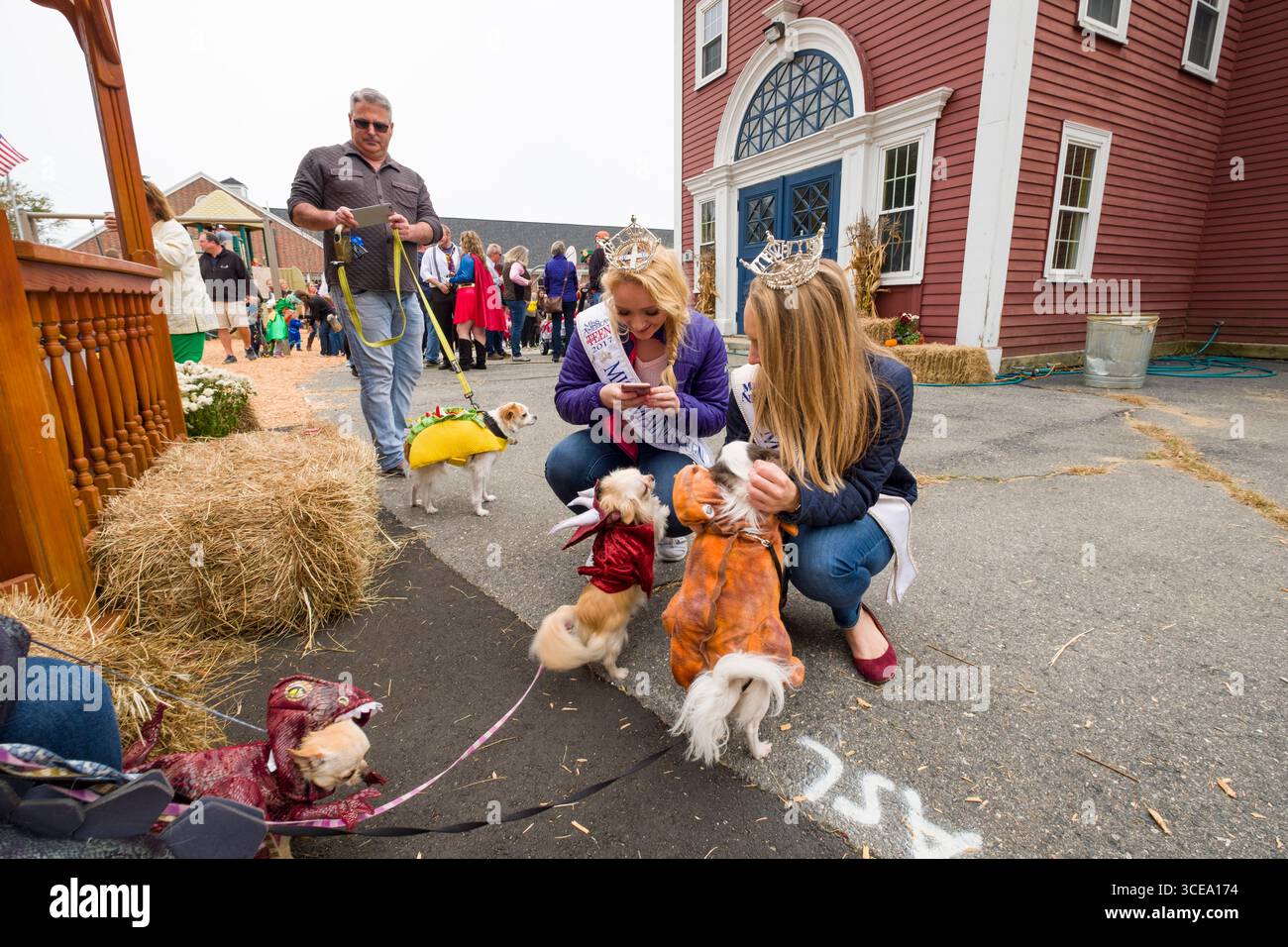 2017 Miss Teen Maine USA Anna Castonguay utilizzando uno smartphone per fotografare due cani di piccola taglia in Ogunquit scuola di villaggio prima di iniziare OgunquitFe Foto Stock