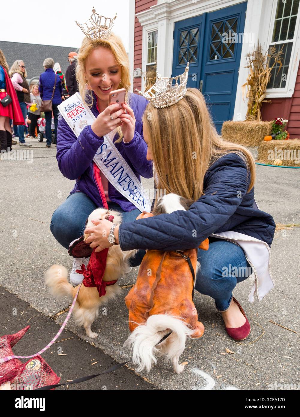 2017 Miss Teen Maine USA Anna Castonguay utilizzando uno smartphone per fotografare due cani di piccola taglia in Ogunquit scuola di villaggio prima di iniziare OgunquitFe Foto Stock