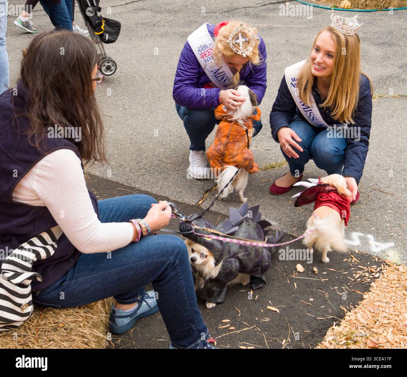 2017 Miss Teen Maine USA Natascia Babb parlando con il proprietario di tre cani di piccola taglia in costume a Ogunquit scuola di villaggio prima di iniziare OgunquitFe Foto Stock
