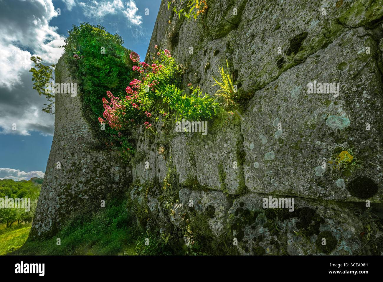 Le mura poligonali che circondano l'antica acropoli di Arpino, oggi chiamata Civitavecchia. Un sito archeologico pre-romano. Arpino, Frosinone, Lazio Foto Stock