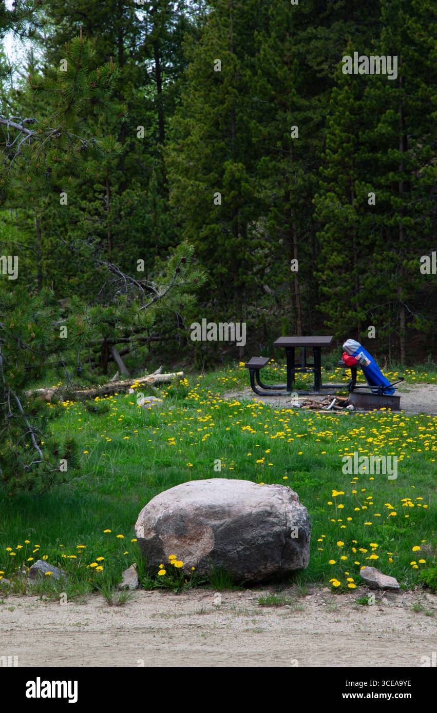 Le attività ricreative all'aperto sono salutari, mentre il North Michigan Campground nel State Forest State Park di Walden, Colorado. Picnic e campeggio iconici Foto Stock