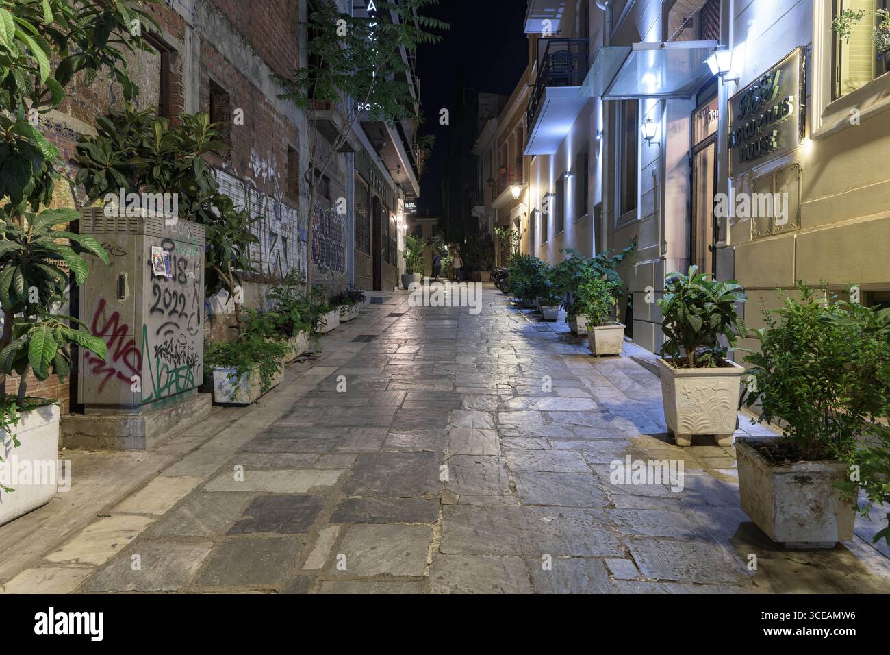 Strada stretta di notte con graffiti e piante, Atene, Grecia Foto Stock