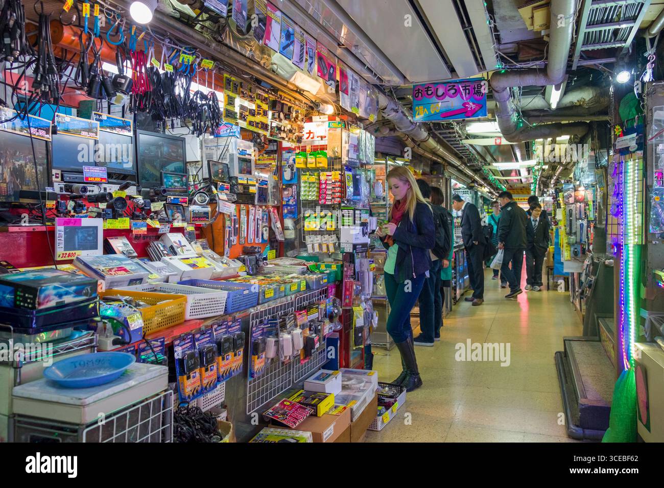 Elettronica di piccoli negozi di specialità all'interno di Akihabara Centro Radio, Akihabara, Chiyoda, a Tokyo, Honshu, Giappone Foto Stock