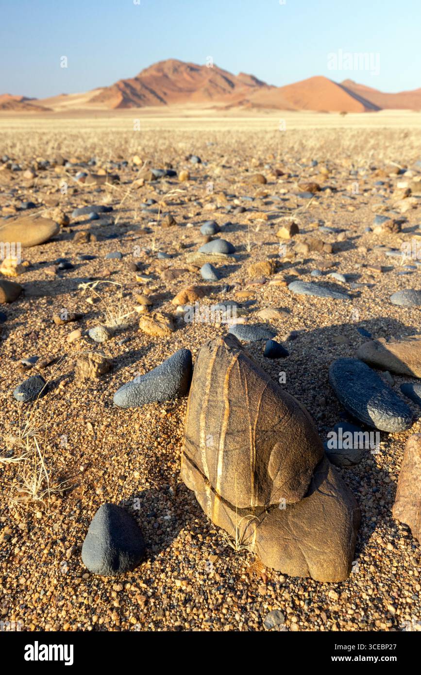 Pietre colorate sparse nel Namib-Naukluft National Park, Namibia, Africa Foto Stock