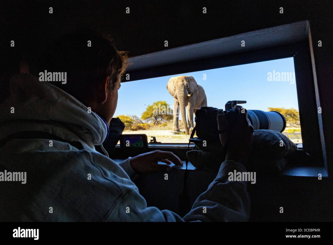Elefante africano (Loxodonta Africana) nella pozza d'acqua, visto dall'interno di Onkolo Hide, riserva naturale di Onguma, Namibia, Africa Foto Stock