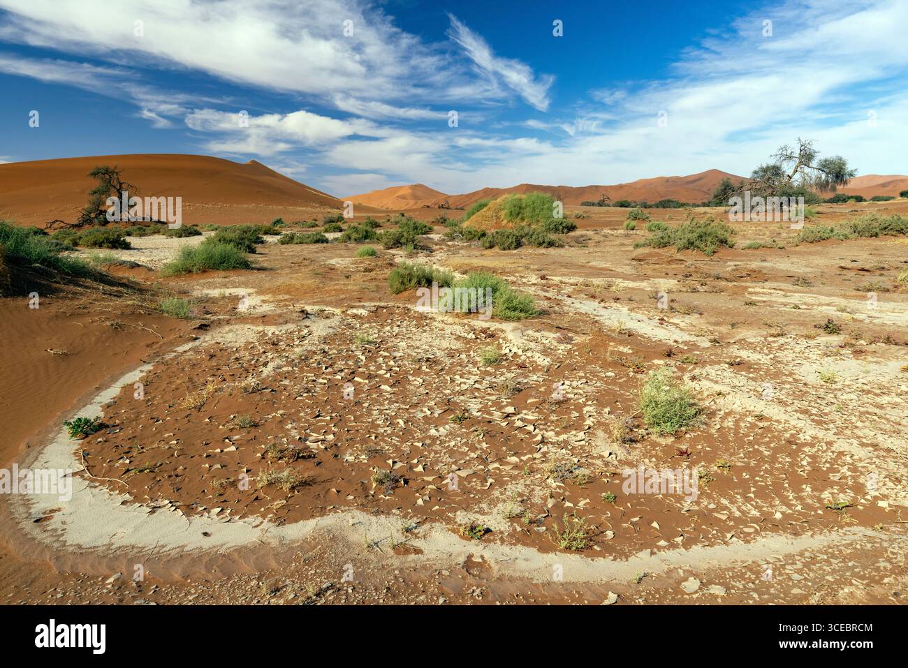 Paesaggio colorato nel Parco Nazionale Namib-Naukluft, Namibia, Africa Foto Stock