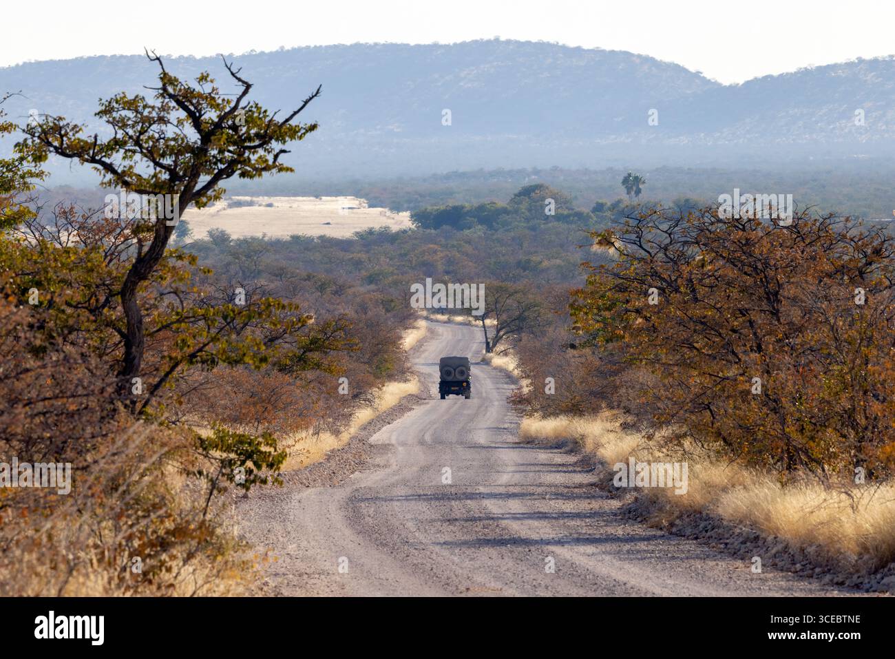 Veicolo Safari nel paesaggio - riserva di caccia privata Ongava, Namibia, Africa Foto Stock
