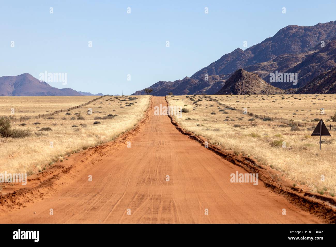 Strade infinite nel Namib-Naukluft National Park, Namibia, Africa Foto Stock