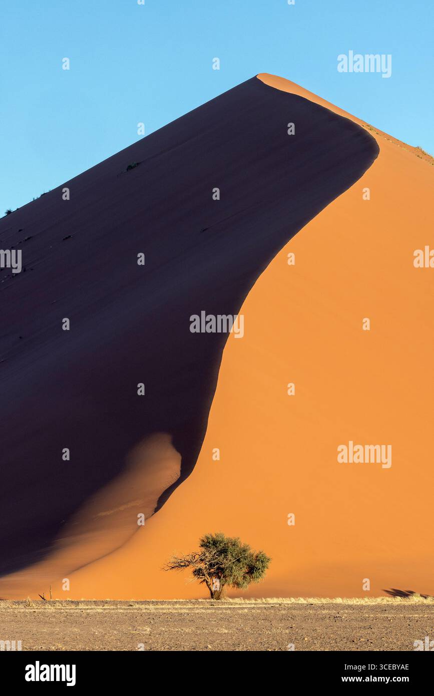 Iconica Dune 40 nel Parco Nazionale Namib-Naukluft, Namibia, Africa Foto Stock