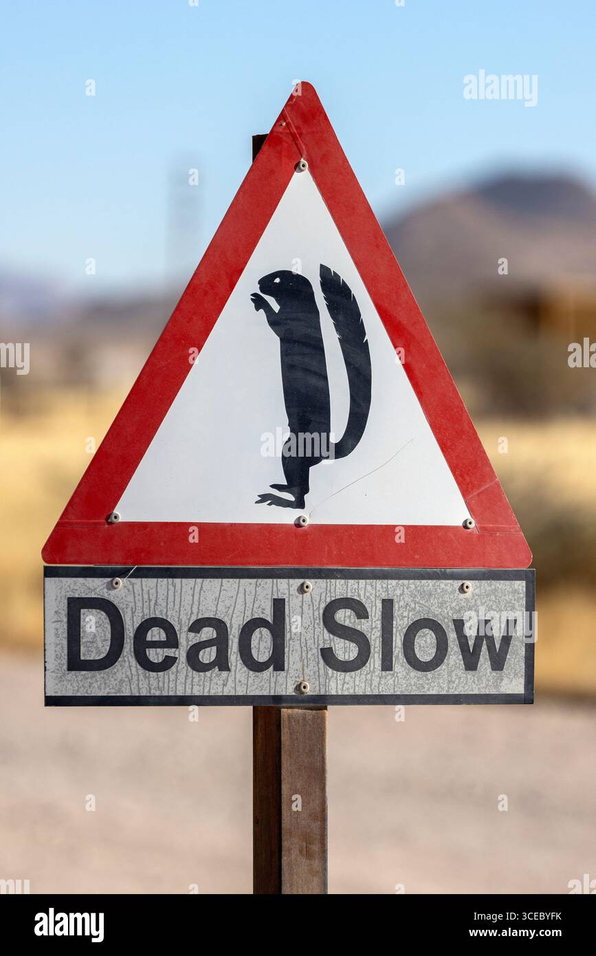 Cartello "Dead Slow" a Solitaire, regione di Khomas, Namibia, Africa Foto Stock