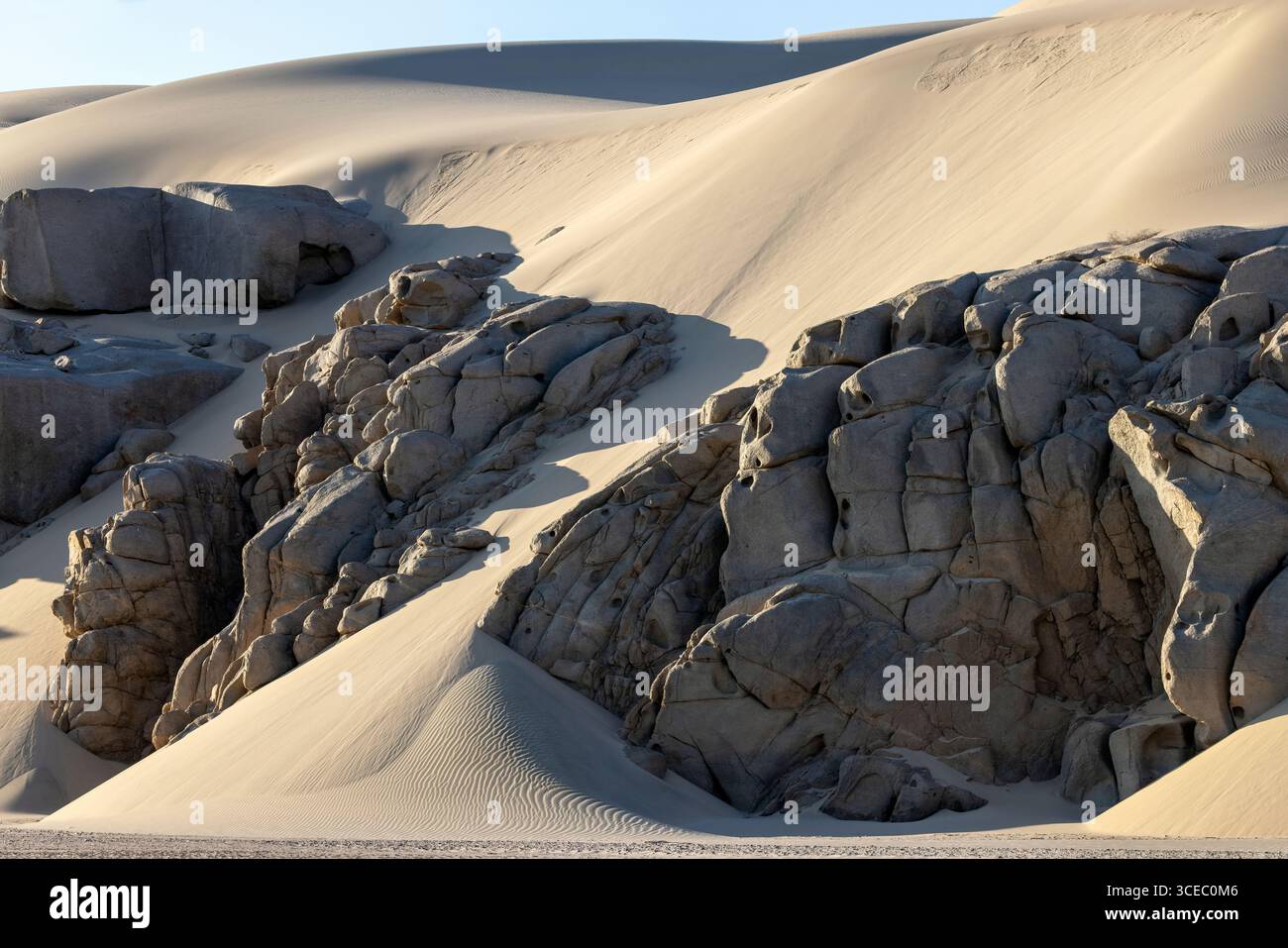 Straordinario paesaggio di dune di sabbia vicino a Shipwreck Lodge - Skeleton Coast National Park, Namibia, Africa Foto Stock