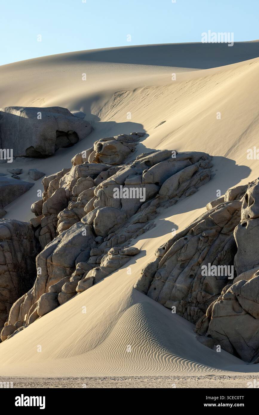 Straordinario paesaggio di dune di sabbia vicino a Shipwreck Lodge - Skeleton Coast National Park, Namibia, Africa Foto Stock