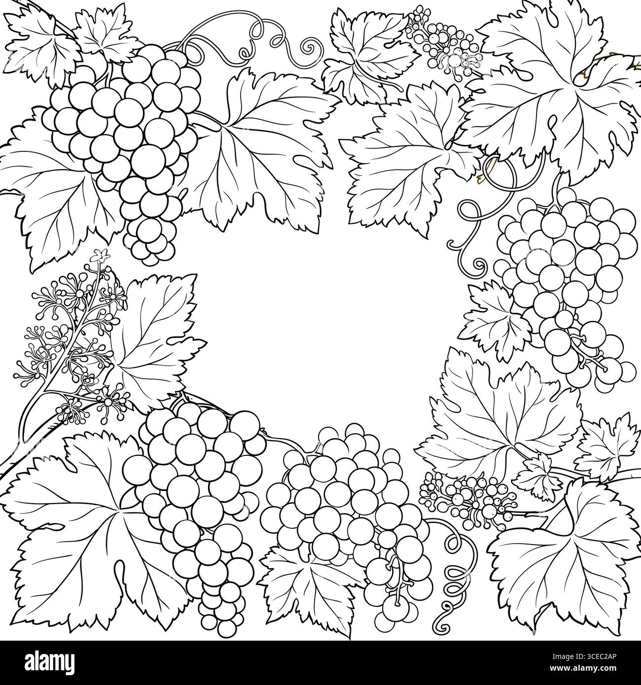 Grapes Branch with Berries Outline Frame. Illustrazione Vettoriale