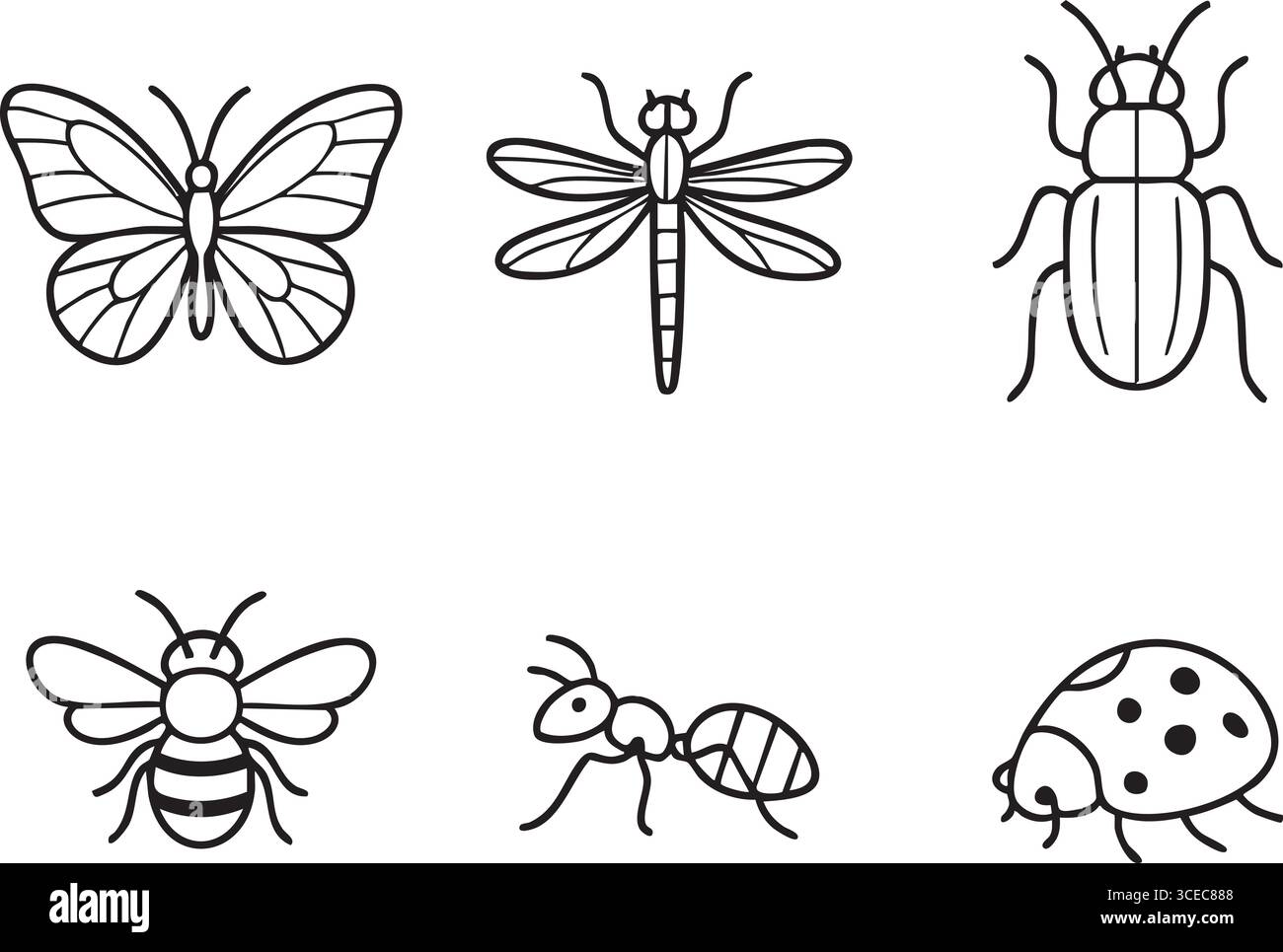 Sei ordinati schizzi di entomologia presentano insetti riconoscibili con ali gambe e antenne in uno stile minimalista. Illustrazione Vettoriale