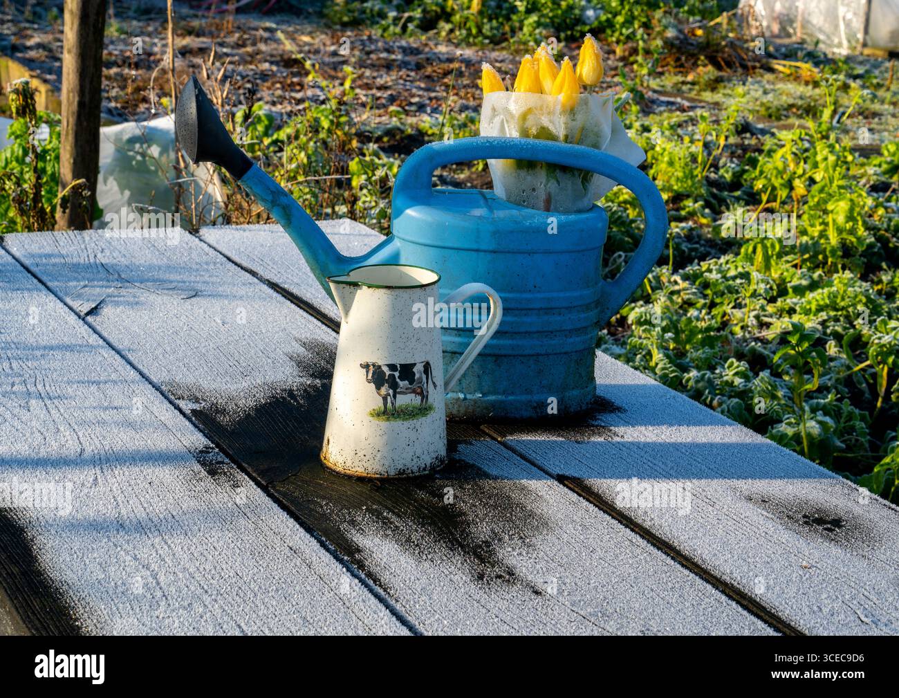 Set di lattine da innaffiare su un tavolo rivestito in giardino Foto Stock