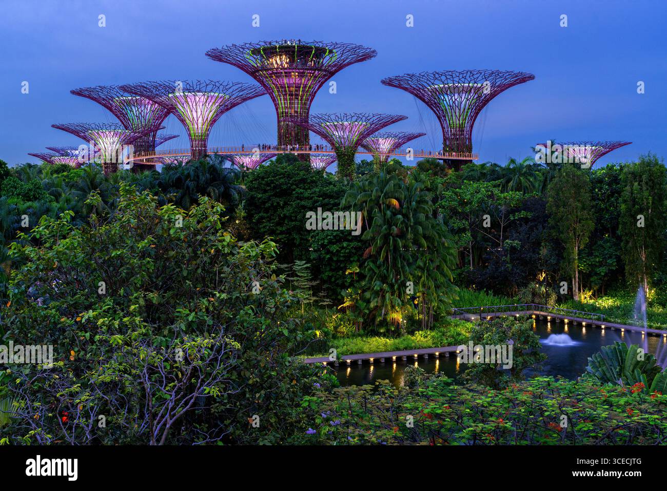 Superalberi illuminati presso i Giardini della Baia, noti anche come Marina Bay Gardens a Singapore Foto Stock