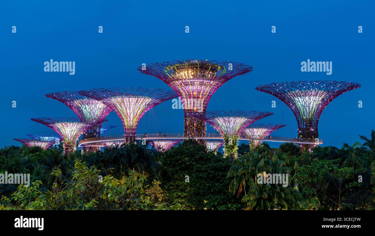 Superalberi illuminati presso i Giardini della Baia, noti anche come Marina Bay Gardens a Singapore Foto Stock
