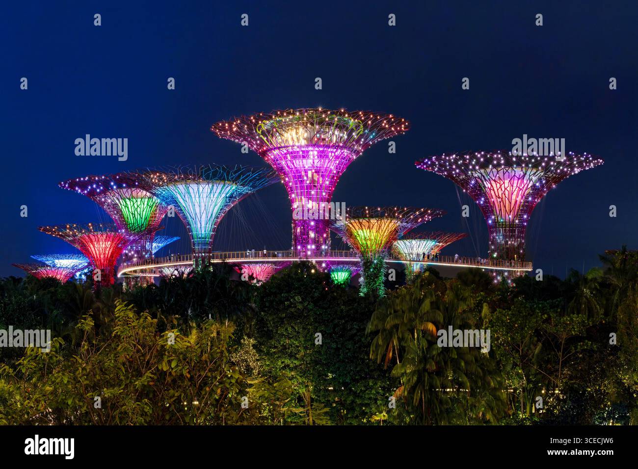 Superalberi illuminati presso i Giardini della Baia, noti anche come Marina Bay Gardens a Singapore Foto Stock