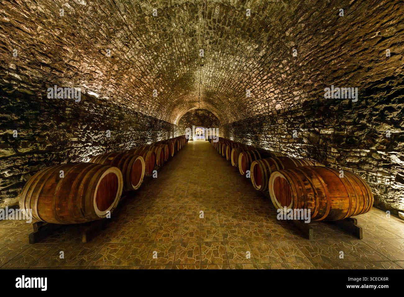 Interno della storica cantina tedesca costruita a metà del XIX secolo e botti di vino nella città di Goygol, in Azerbaij Foto Stock