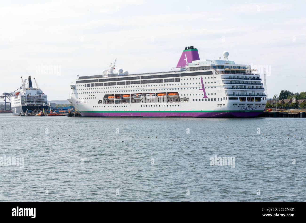 Nave da crociera Ambassador Ambition, terminal Tyneside, porto di Tyne, Newcastle-upon-Tyne, Cobledene, North Shields, Tyne and Wear, Inghilterra, Regno Unito Foto Stock