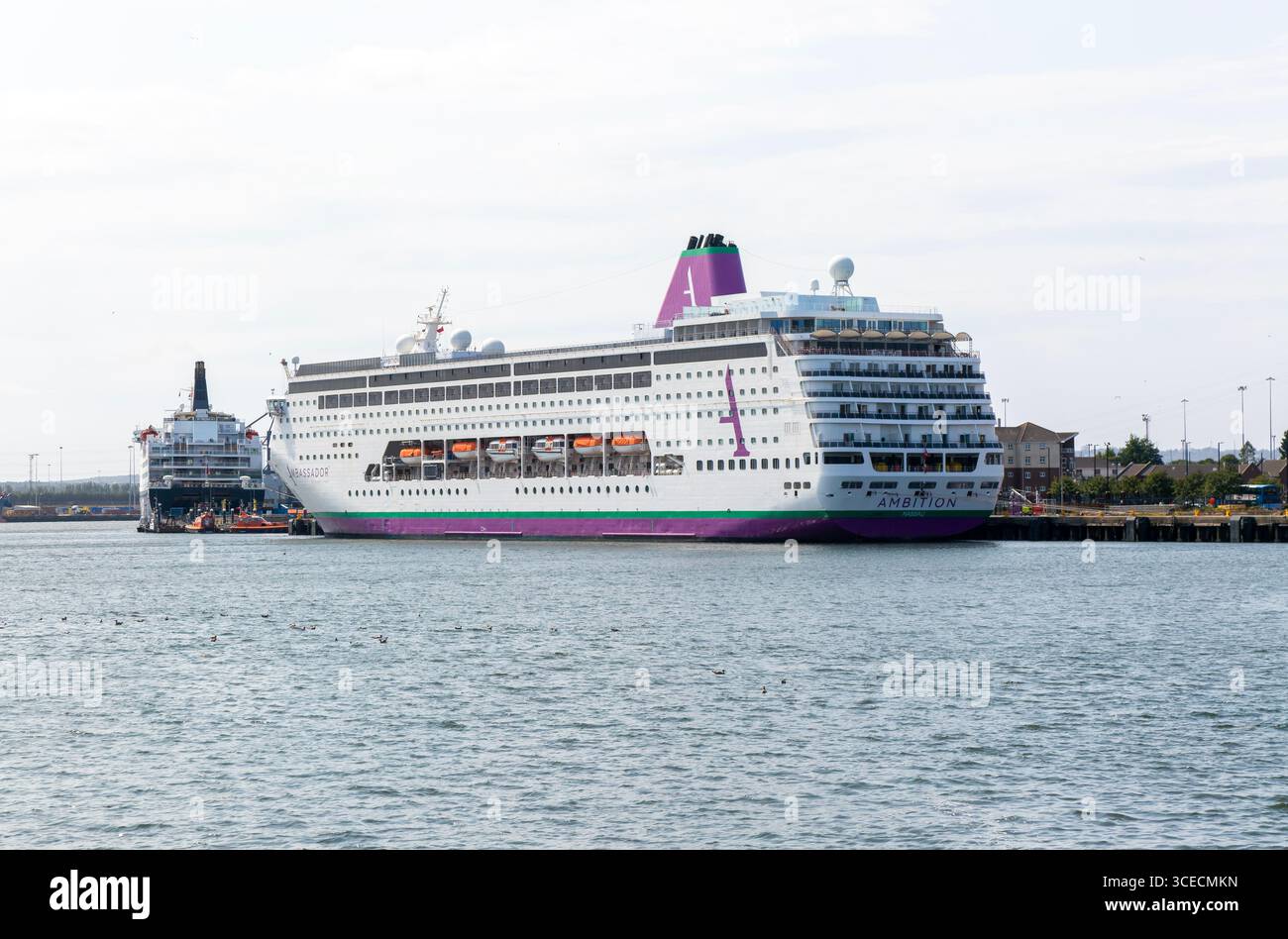 Nave da crociera Ambassador Ambition, terminal Tyneside, porto di Tyne, Newcastle-upon-Tyne, Cobledene, North Shields, Tyne and Wear, Inghilterra, Regno Unito Foto Stock