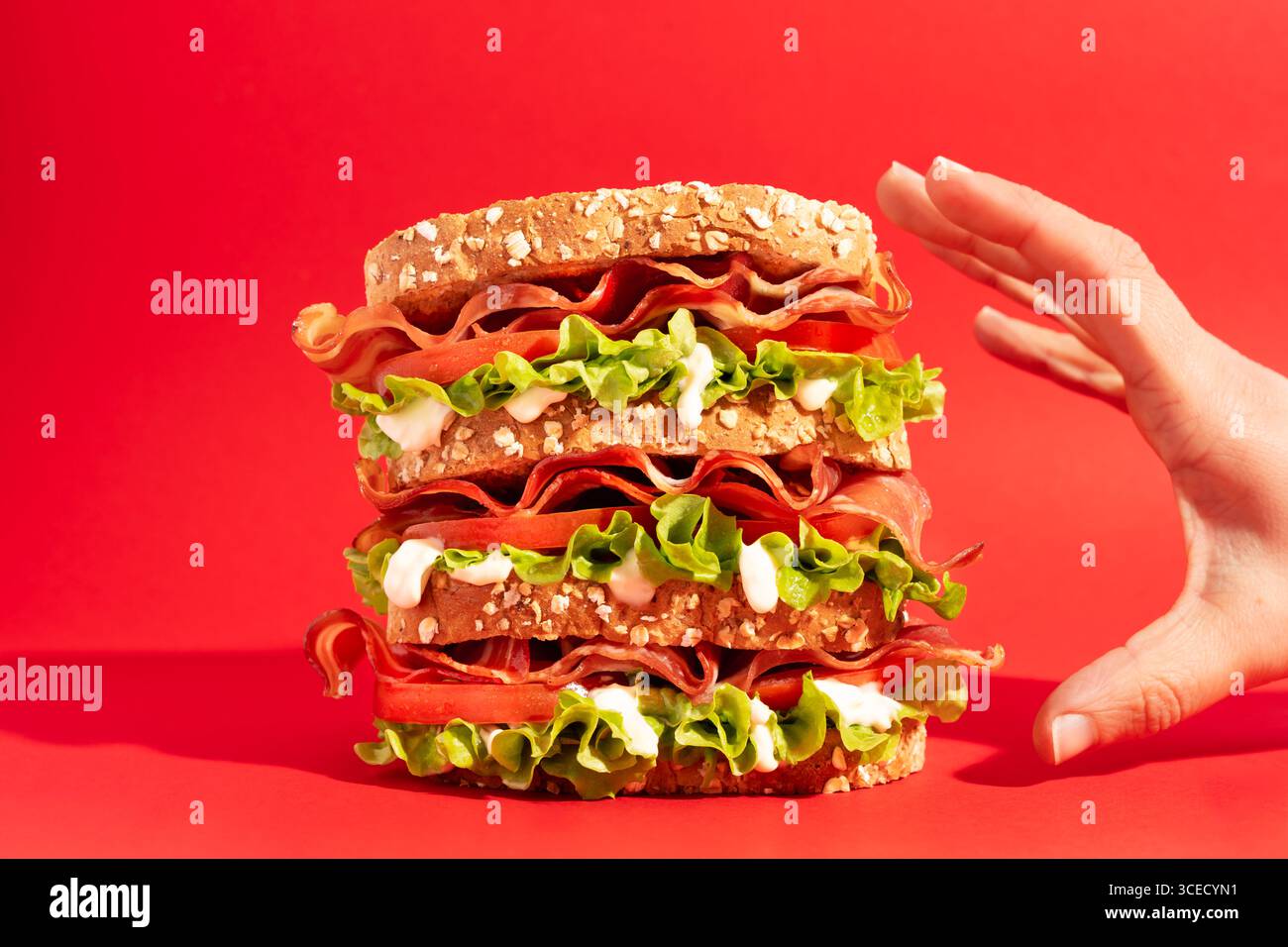 La mano di una persona corta e irriconoscibile raggiunge un sandwich alto con pancetta, lattuga e pomodoro tra le fette di pane. Backgroun rosso brillante Foto Stock