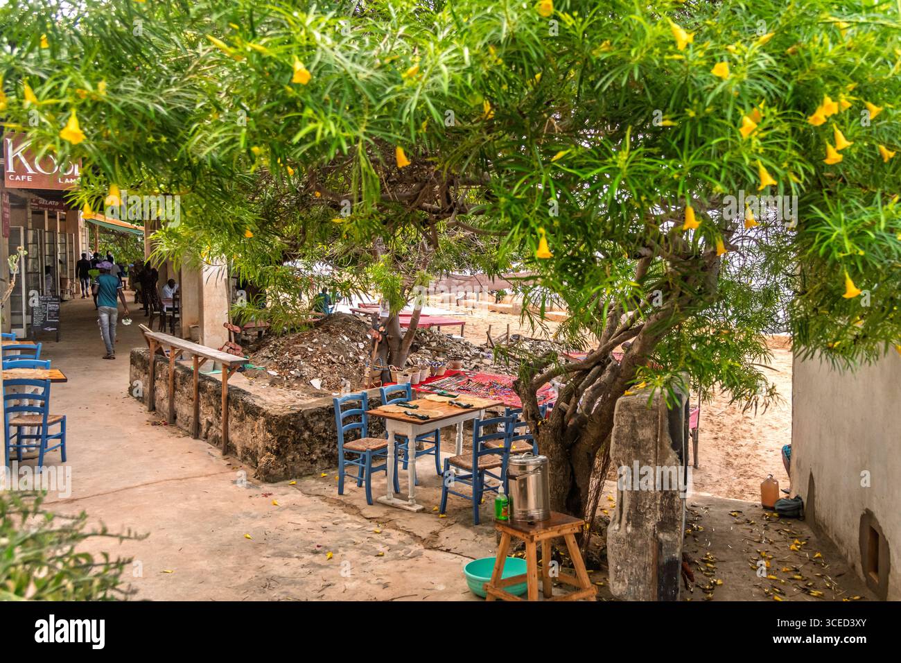 Streetlife, Lamu, Kenya Foto Stock