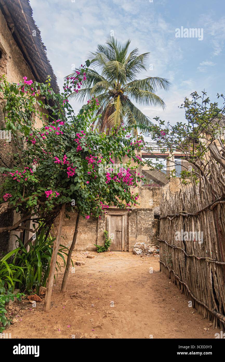 Streetlife, Lamu, Kenya Foto Stock