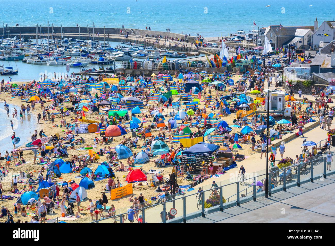 Lyme Regis, Dorset, Regno Unito. 17 agosto 2025. Tempo Regno Unito: La spiaggia della località balneare di Lyme Regis era piena di turisti che si crogiolavano nel caldo sole della domenica pomeriggio mentre il tempo caldo e soleggiato record continua . Crediti: Celia McMahon/Alamy Live News Foto Stock