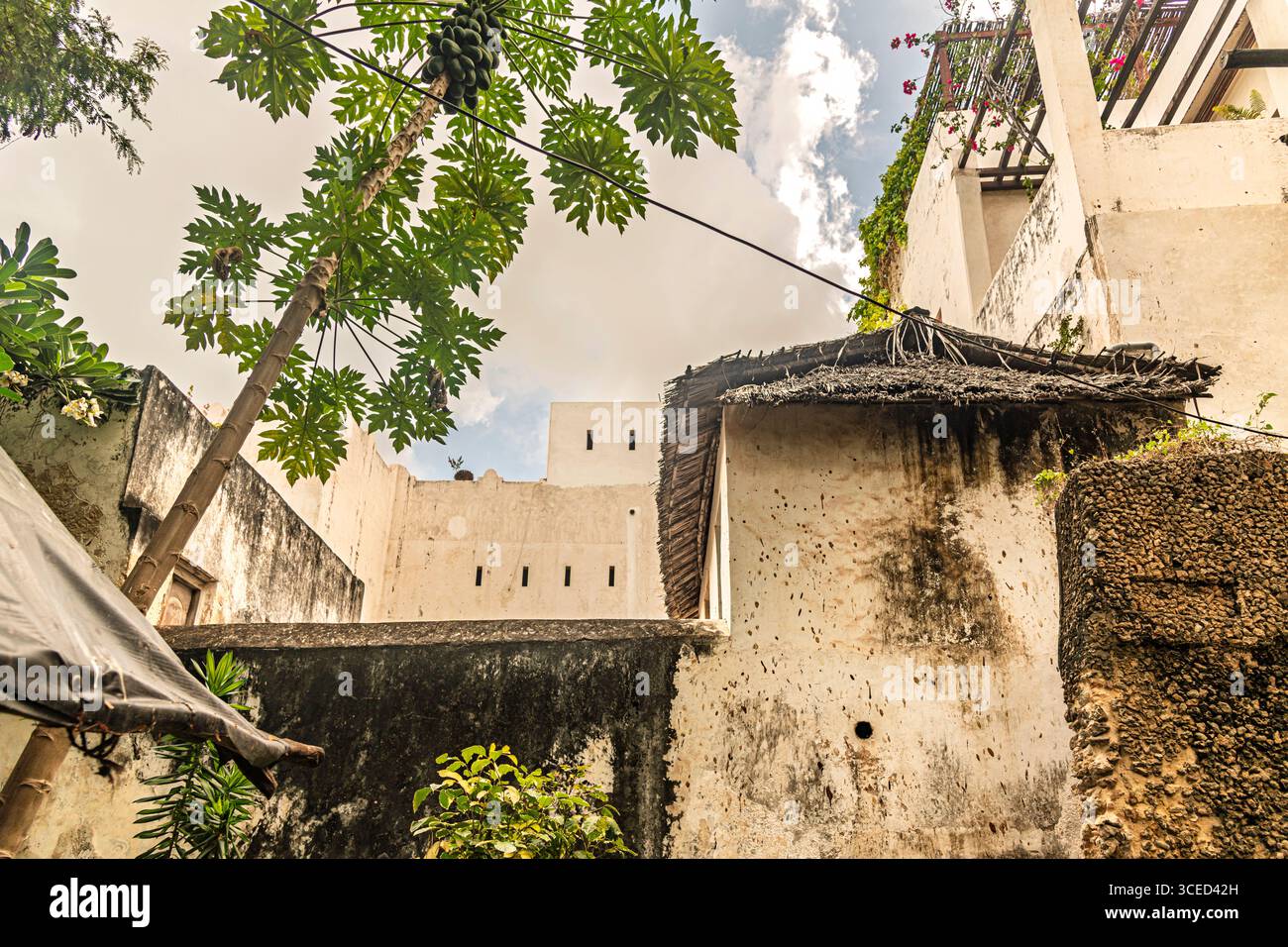 Streetlife, Lamu, Kenya Foto Stock