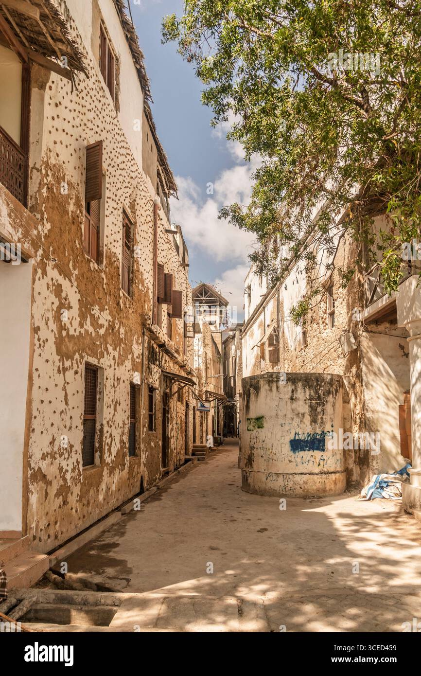 Streetlife, Lamu, Kenya Foto Stock