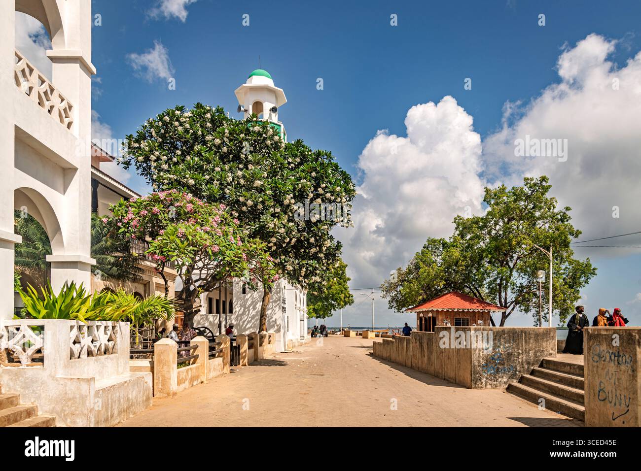 Streetlife, Lamu, Kenya Foto Stock