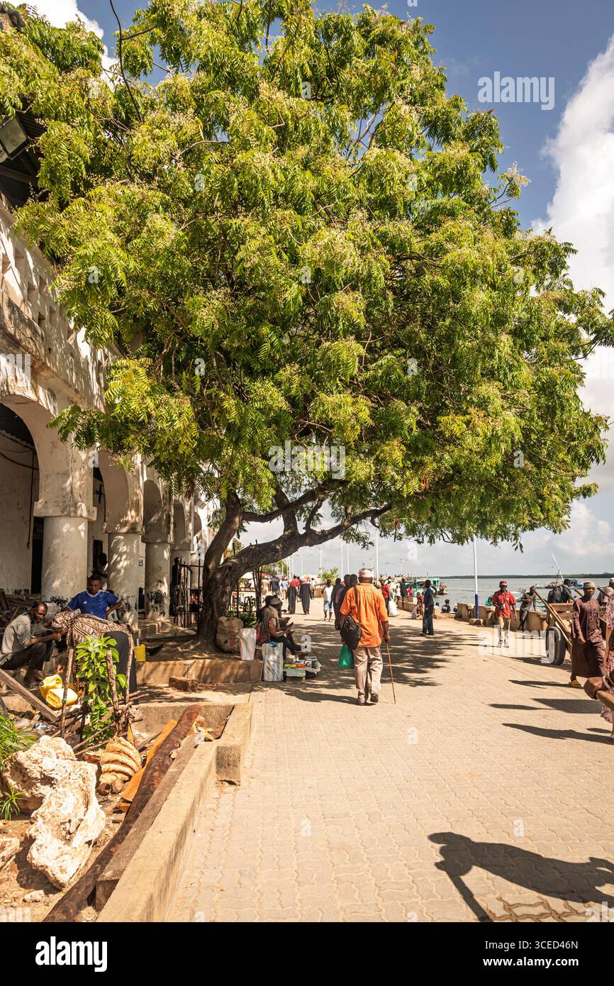 Streetlife, Lamu, Kenya Foto Stock