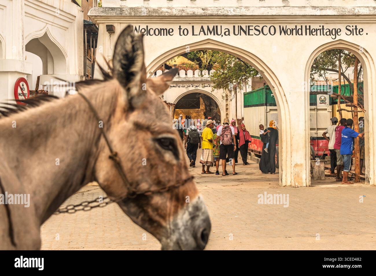 Lamu, Kenya Foto Stock