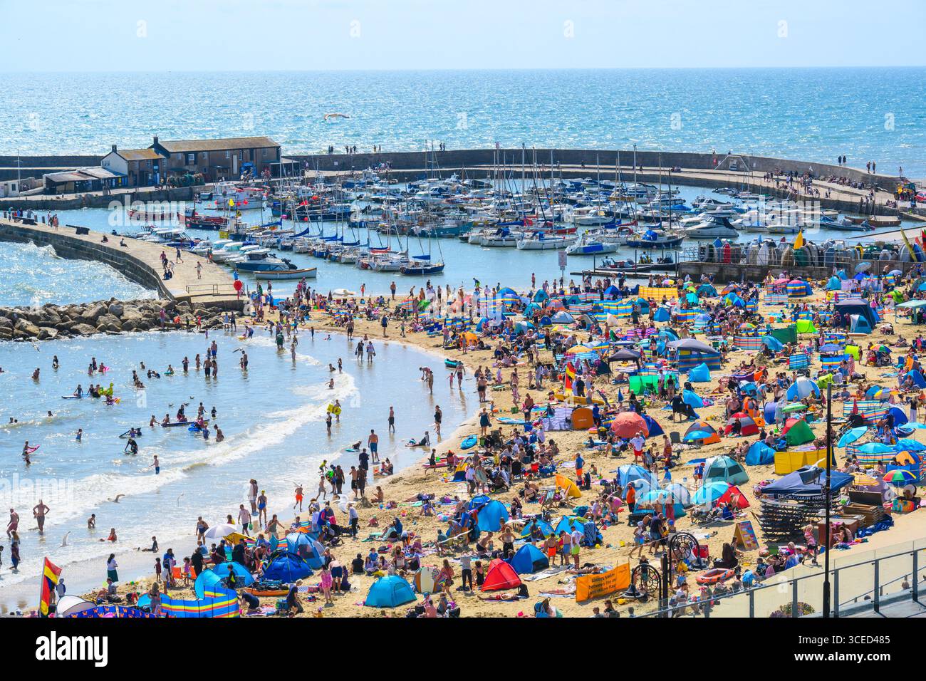 Lyme Regis, Dorset, Regno Unito. 17 agosto 2025. Tempo Regno Unito: La spiaggia della località balneare di Lyme Regis era piena di turisti che si crogiolavano nel caldo sole della domenica pomeriggio mentre il tempo caldo e soleggiato record continua . Crediti: Celia McMahon/Alamy Live News Foto Stock Lyme Regis, Dorset, Regno Unito. 17 agosto 2025. Tempo Regno Unito: La spiaggia della località balneare di Lyme Regis era piena di turisti che si crogiolavano nel caldo sole della domenica pomeriggio mentre il tempo caldo e soleggiato record continua . Crediti: Celia McMahon/Alamy Live News Foto Stock
