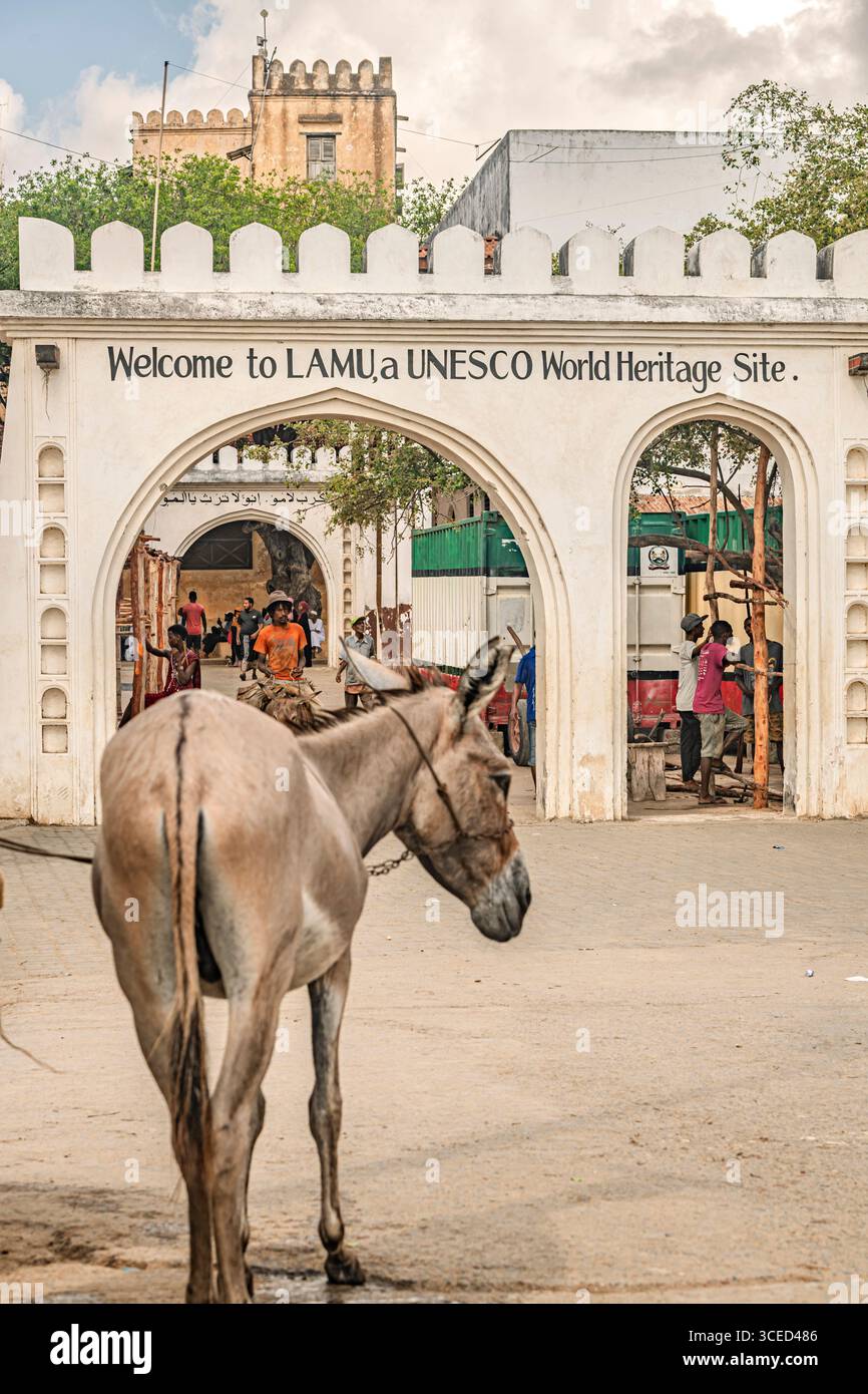 Lamu, Kenya Foto Stock