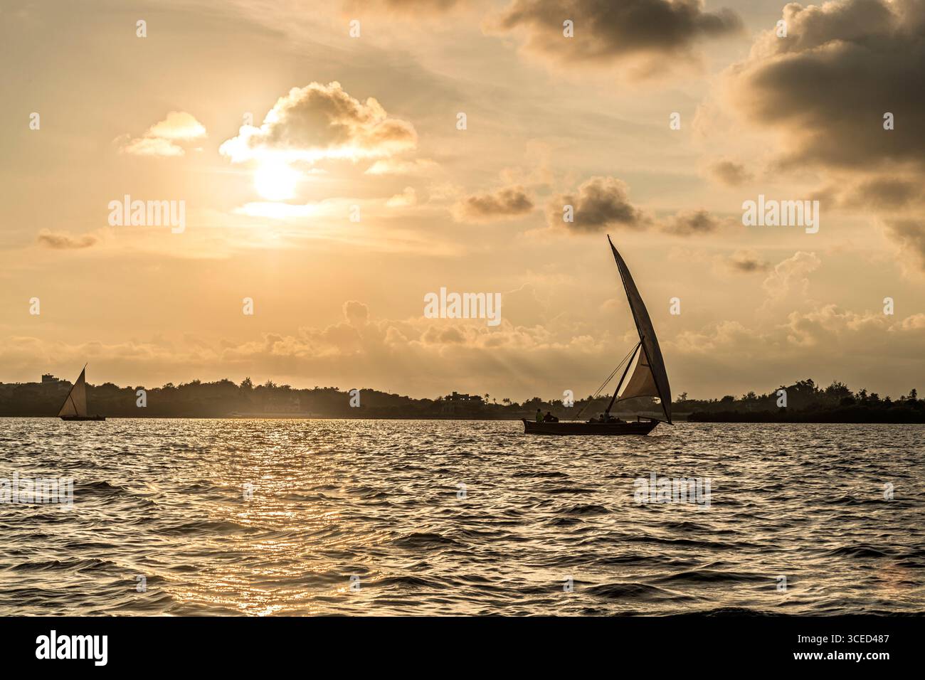 Barche al largo di Shela Beach, Lamu, Kenya Foto Stock