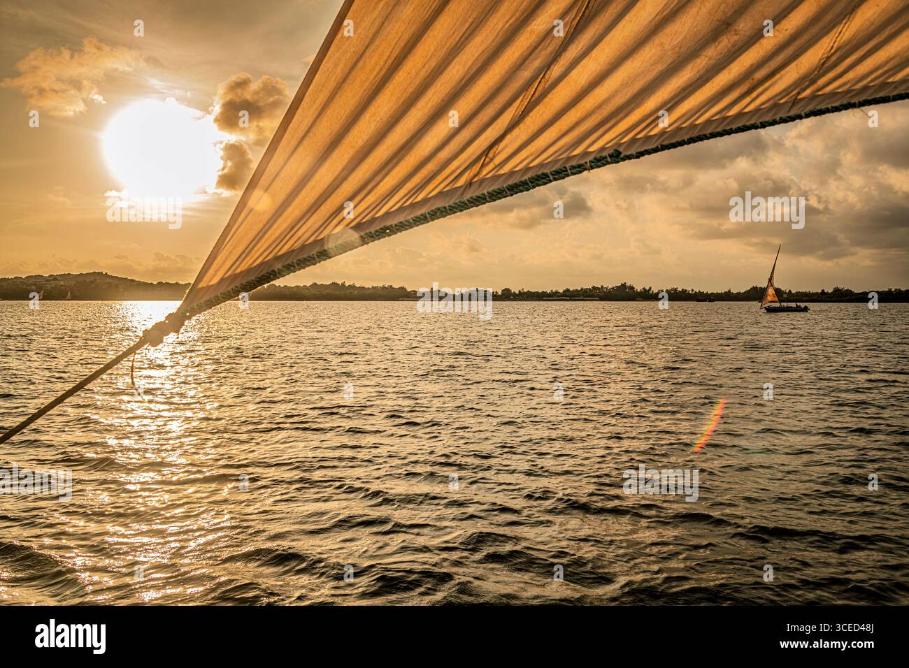 Barche al largo di Shela Beach, Lamu, Kenya Foto Stock