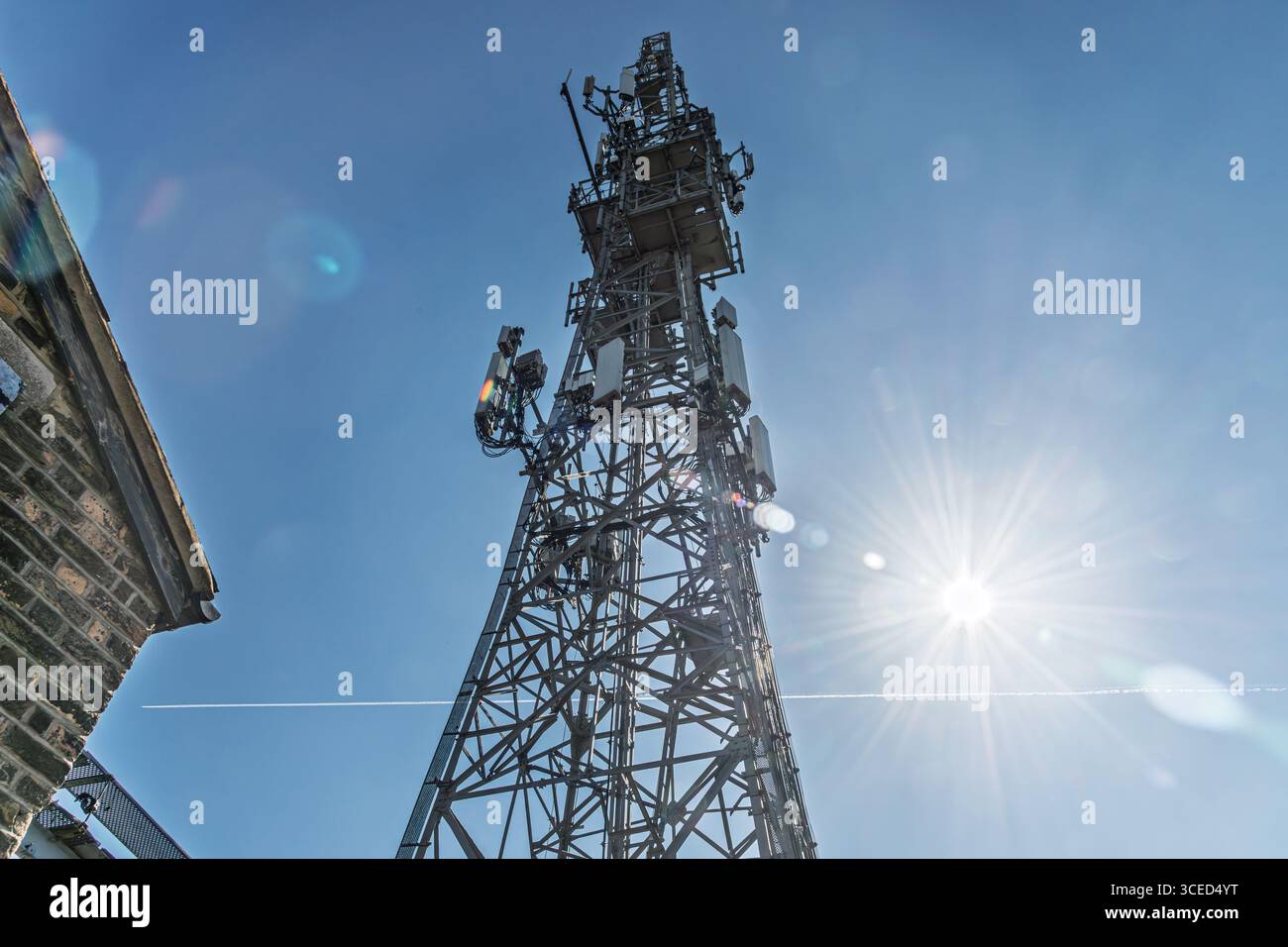 Torre di comunicazione cellulare, Highgate, Londra Foto Stock