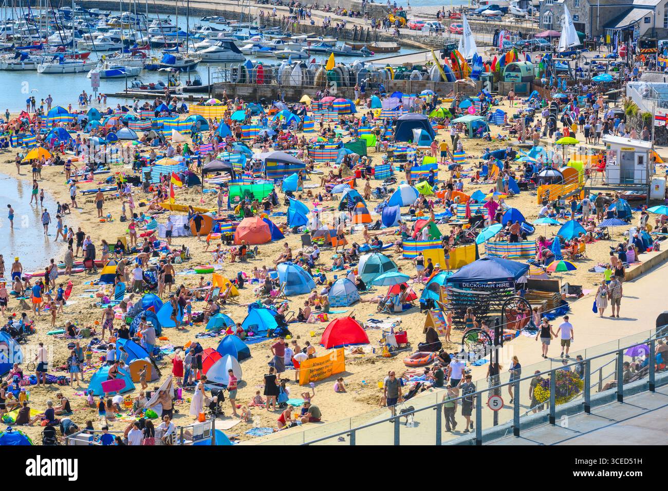 Lyme Regis, Dorset, Regno Unito. 17 agosto 2025. Tempo Regno Unito: La spiaggia della località balneare di Lyme Regis era piena di turisti che si crogiolavano nel caldo sole della domenica pomeriggio mentre il tempo caldo e soleggiato record continua . Crediti: Celia McMahon/Alamy Live News Foto Stock