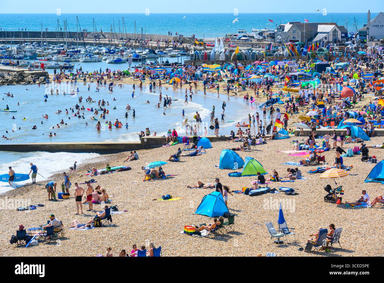 Lyme Regis, Dorset, Regno Unito. 17 agosto 2025. Tempo Regno Unito: La spiaggia della località balneare di Lyme Regis era piena di turisti che si crogiolavano nel caldo sole della domenica pomeriggio mentre il tempo caldo e soleggiato record continua . Crediti: Celia McMahon/Alamy Live News Foto Stock Lyme Regis, Dorset, Regno Unito. 17 agosto 2025. Tempo Regno Unito: La spiaggia della località balneare di Lyme Regis era piena di turisti che si crogiolavano nel caldo sole della domenica pomeriggio mentre il tempo caldo e soleggiato record continua . Crediti: Celia McMahon/Alamy Live News Foto Stock