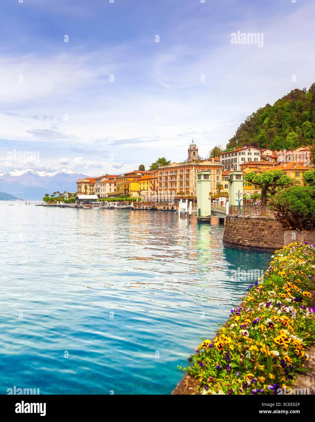 Vista sul paese di Bellagio e fiori in primo piano, sul lago di Como. Provincia di Como, regione Lombardia, Italia, Europa. Foto Stock