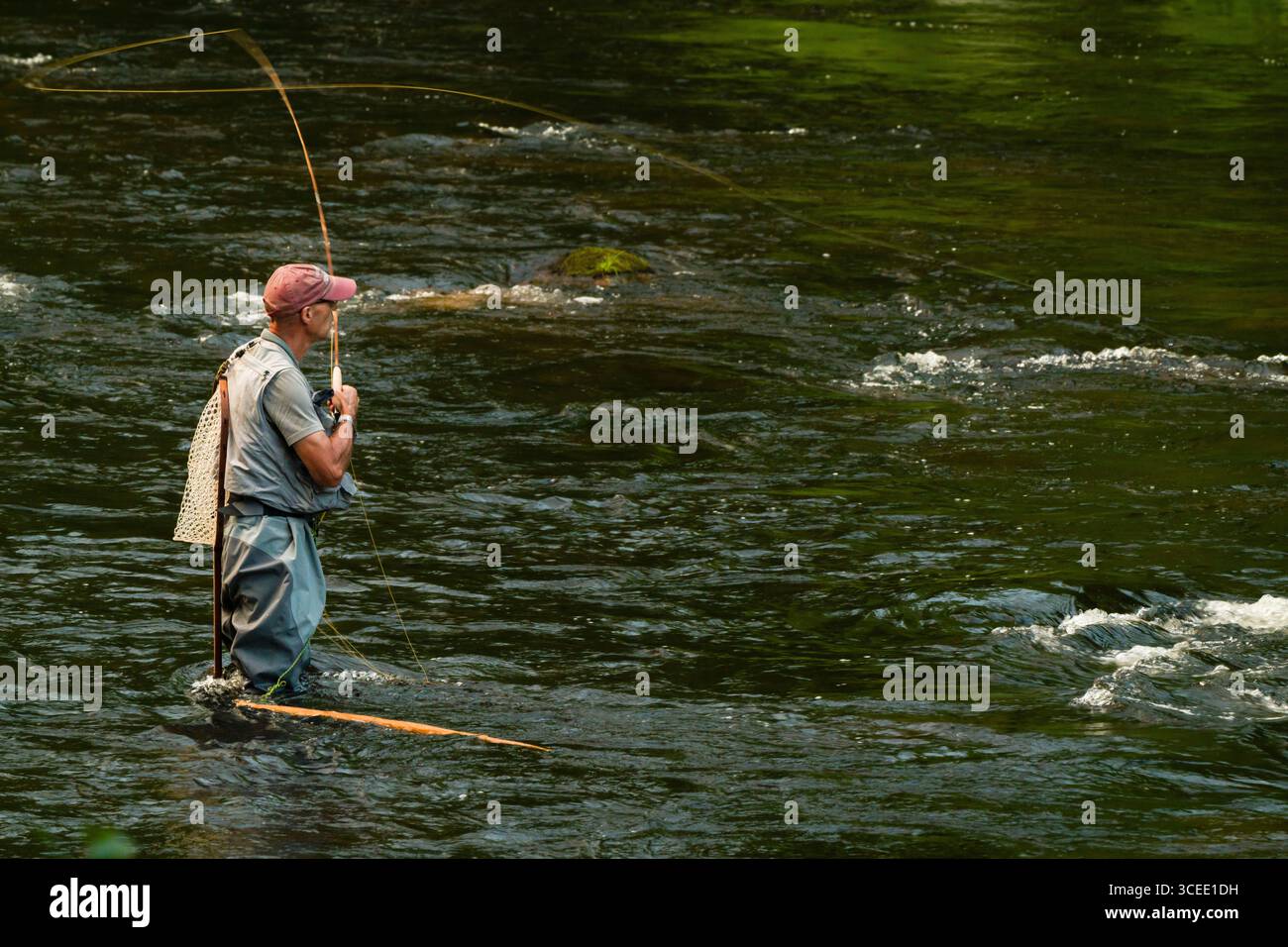 La pesca con la mosca Farmington fiume _ Barkhamsted, Connecticut, Stati Uniti d'America Foto Stock