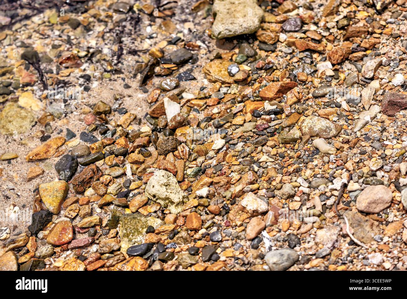 Tortola, Isole Vergini britanniche - 27 marzo 2024: Primo piano di rocce e coralli su una spiaggia di Norman Island Foto Stock