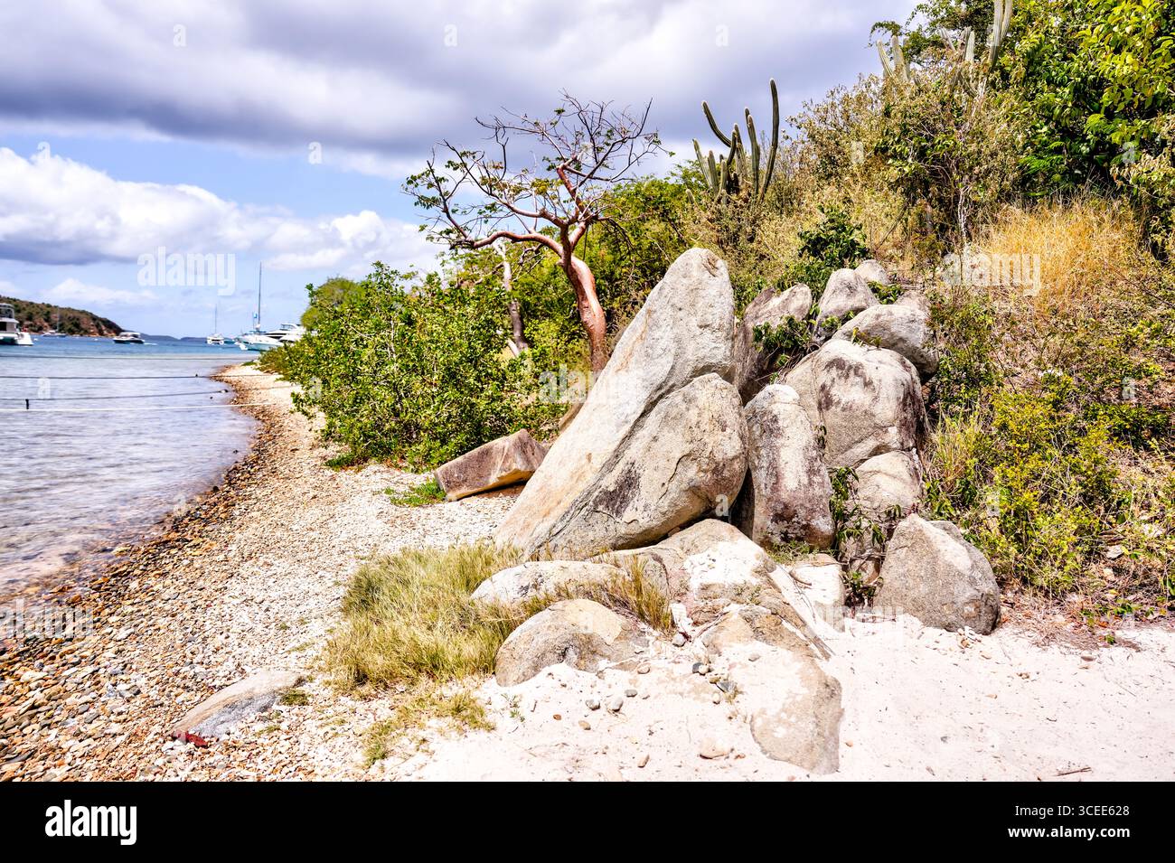 Tortola, Isole Vergini britanniche - 27 marzo 2024: Spiaggia e molo a The Bight sull'isola Norman Foto Stock