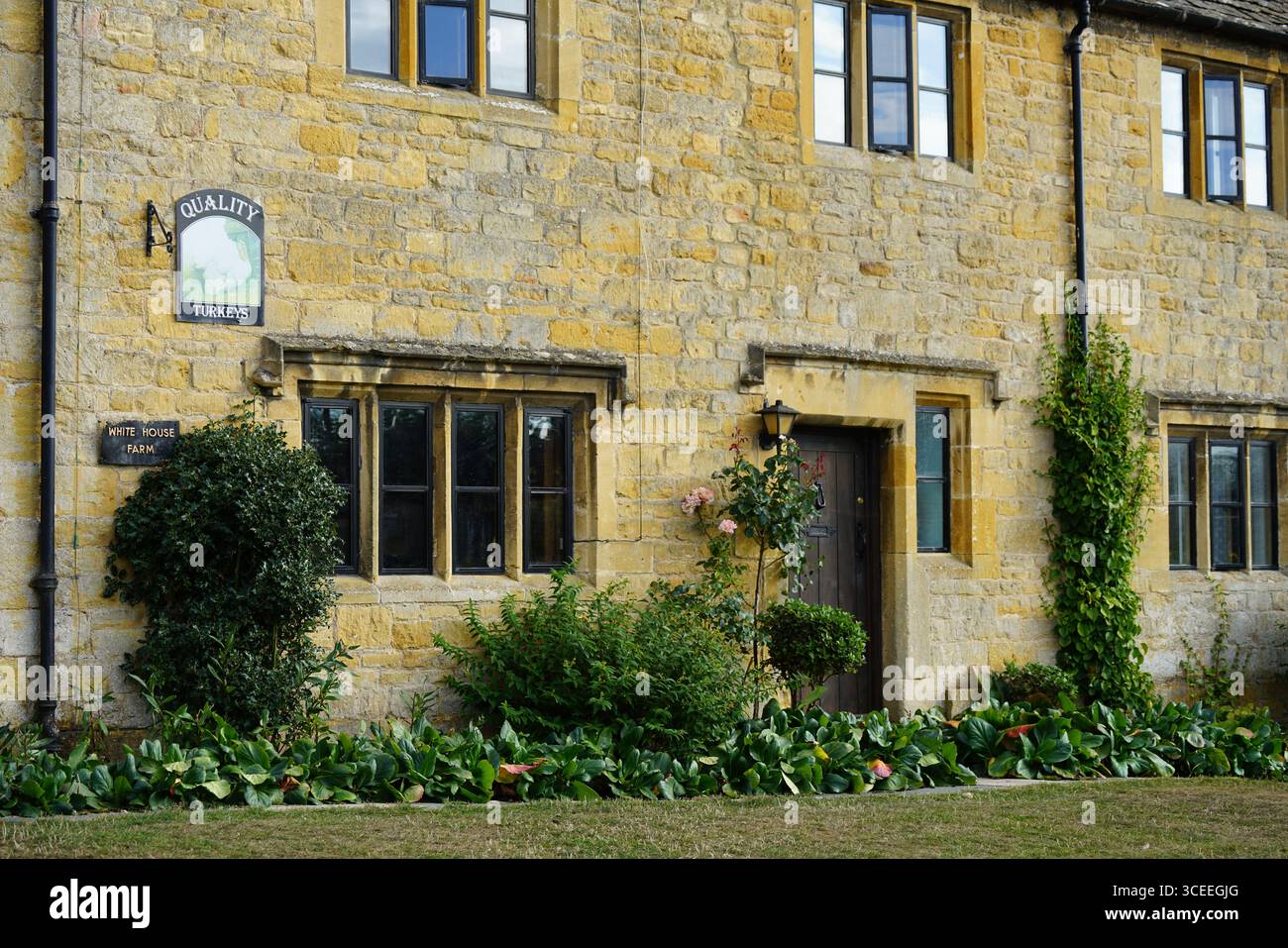 Affascinante Old English Stone House con caratteristiche architettoniche uniche. Willersey, Inghilterra Foto Stock
