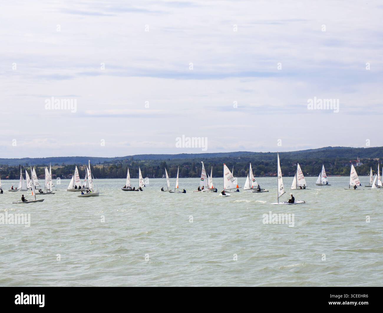 Gara di barche a vela sul lago Balaton Foto Stock