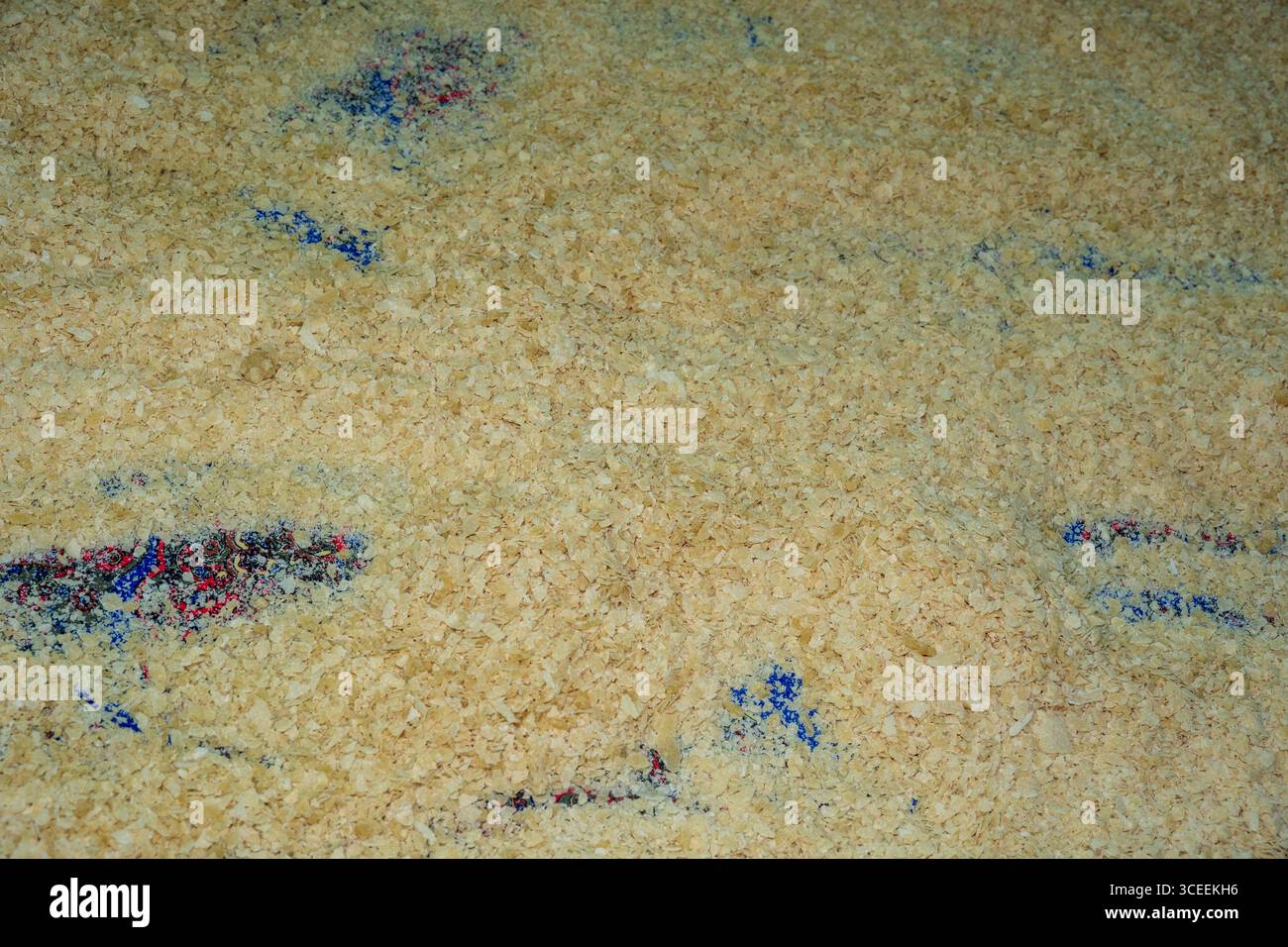 Lasciato per asciugare. Cibo invernale macedone fatto a mano, Tarhana, modo tradizionale. Foto Stock