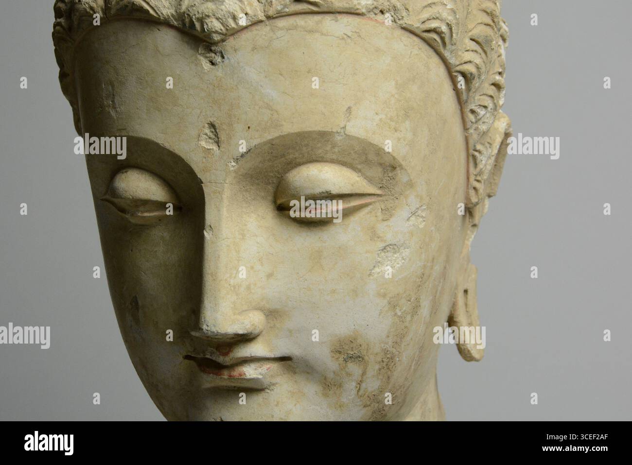 Antica arte asiatica: Testa di Buddha di Gandharan stucco Foto Stock